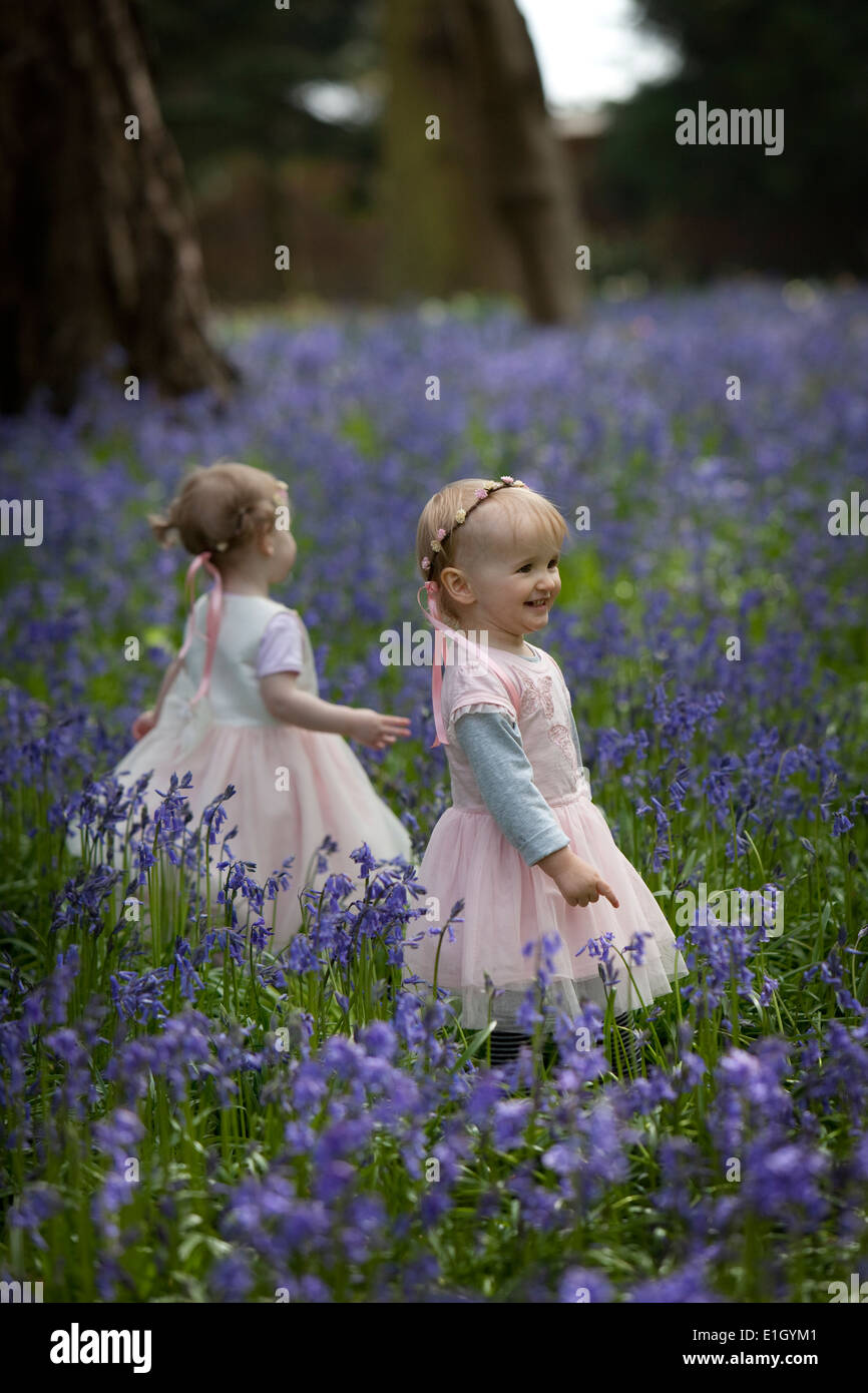 Two young children in a wood full of bluebells in England in springtime Stock Photo