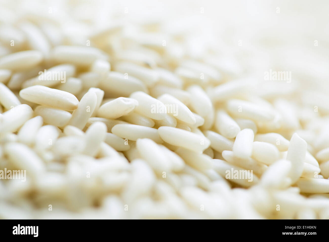 Rice Stock Photo