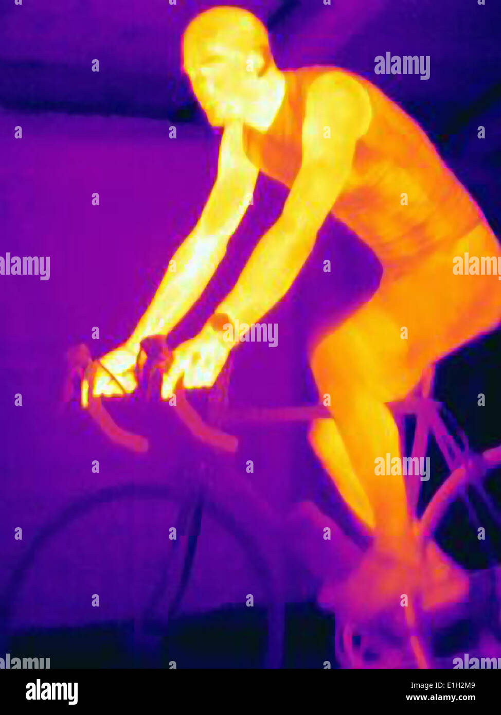 Thermal image of young male cyclist in training, showing the heat of the muscles and of the bicycle tires Stock Photo