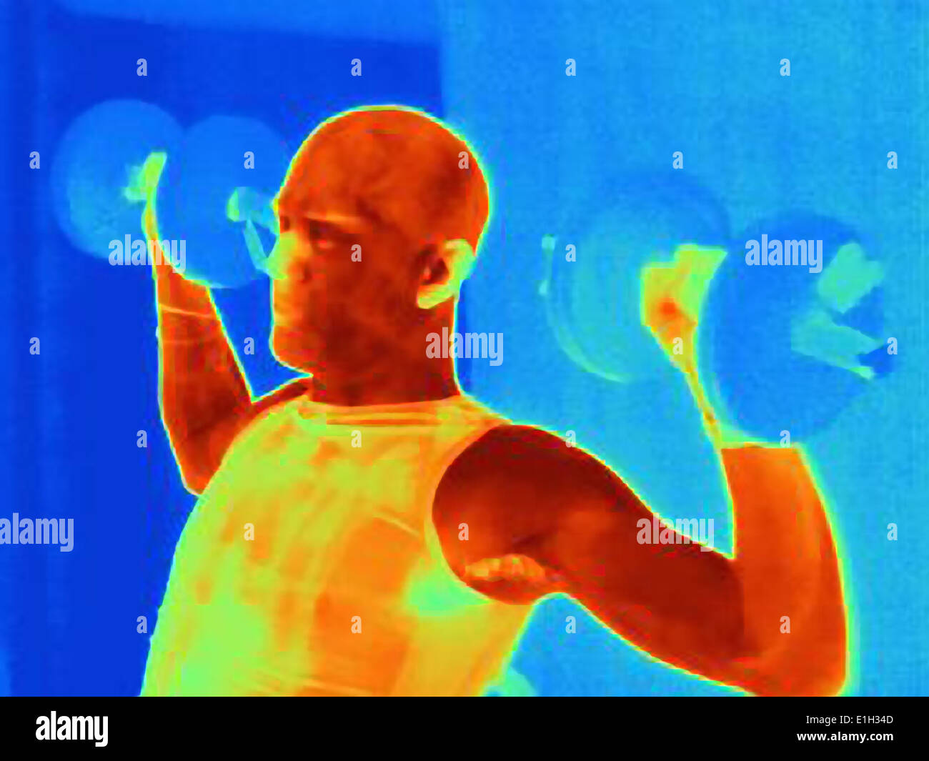 Close up thermal image of young male training with barbell. The image shows the heat produced by the muscles Stock Photo