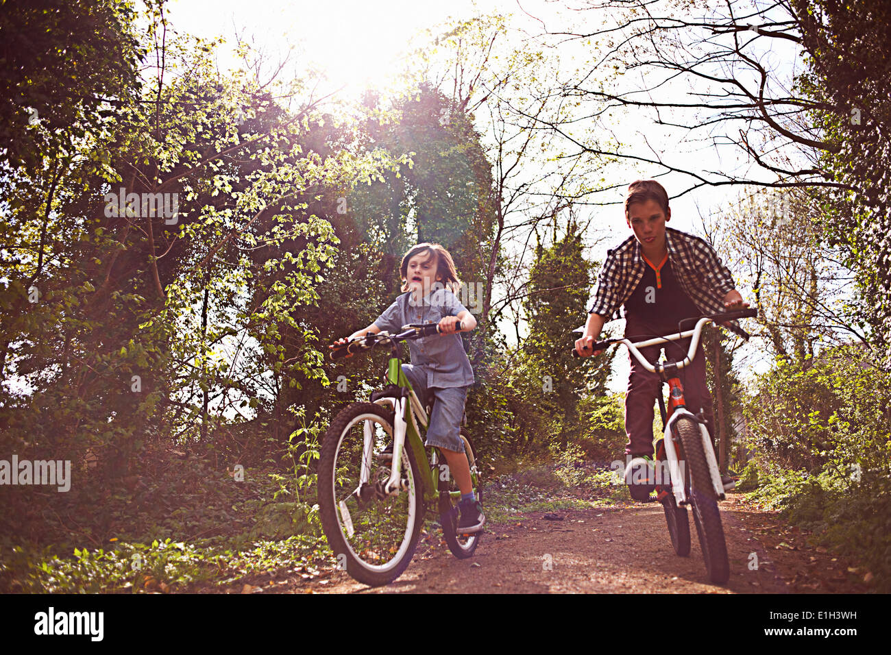 Boys cycling through forest Stock Photo