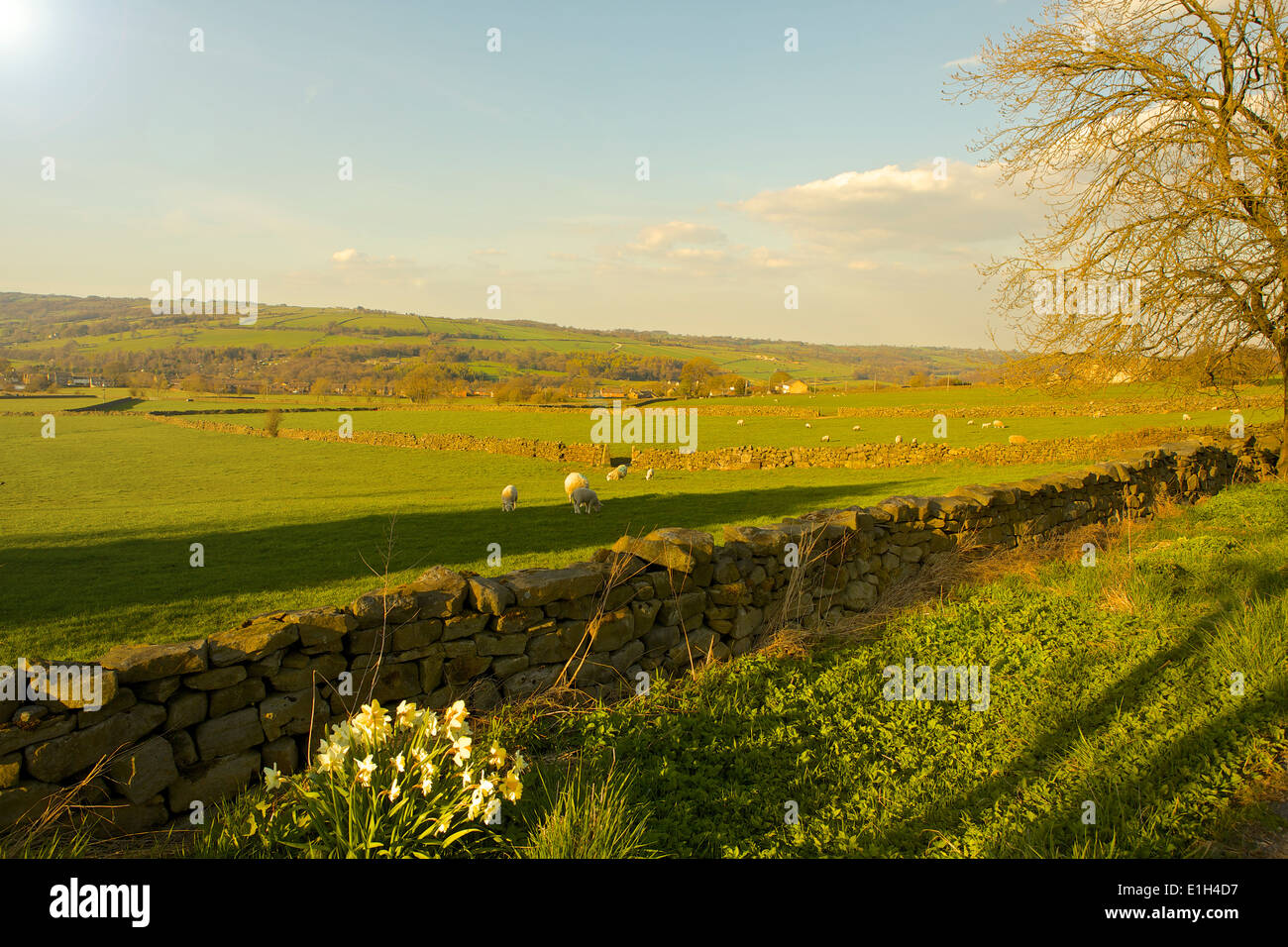 Yorkshire farm land hires stock photography and images Alamy