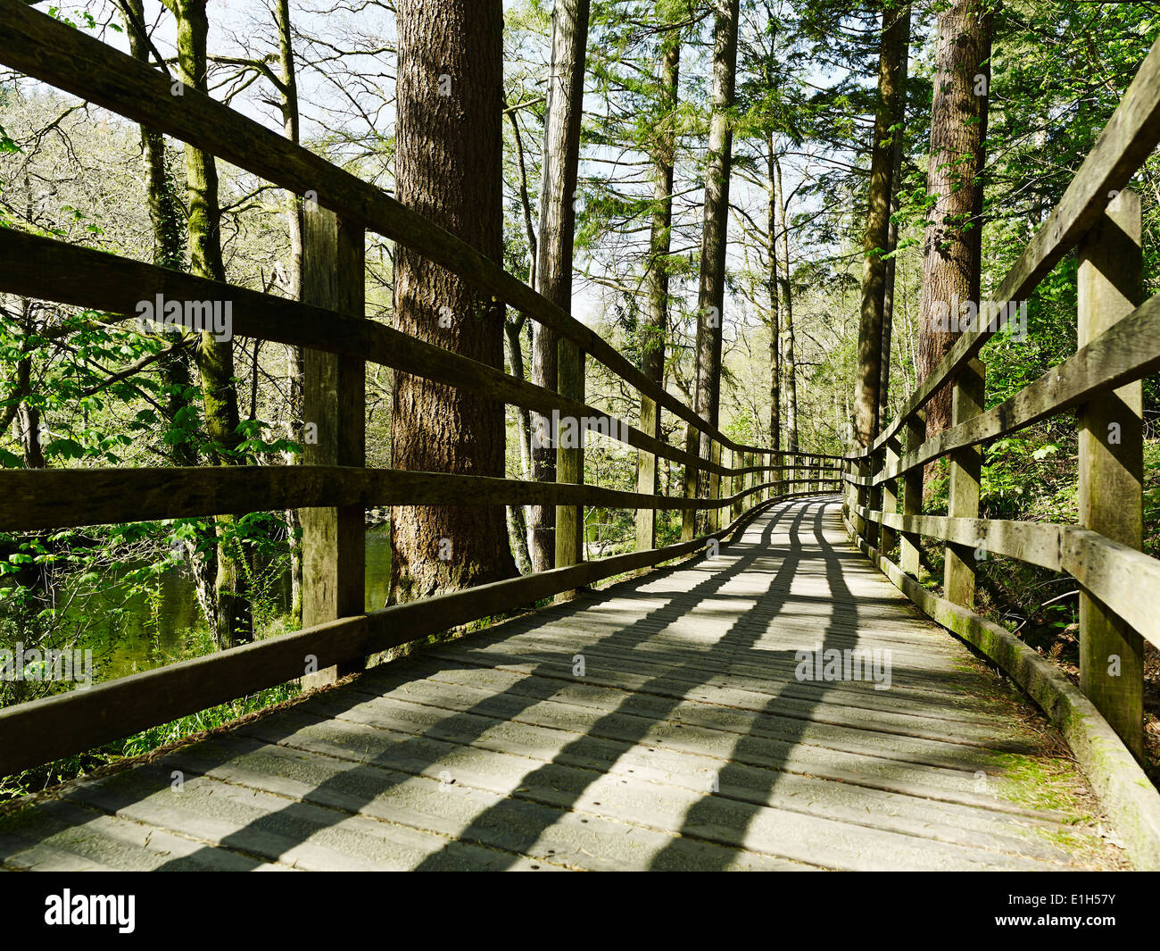 Bridge in forest, Betws-y-coed, Snowdonia, Wales Stock Photo