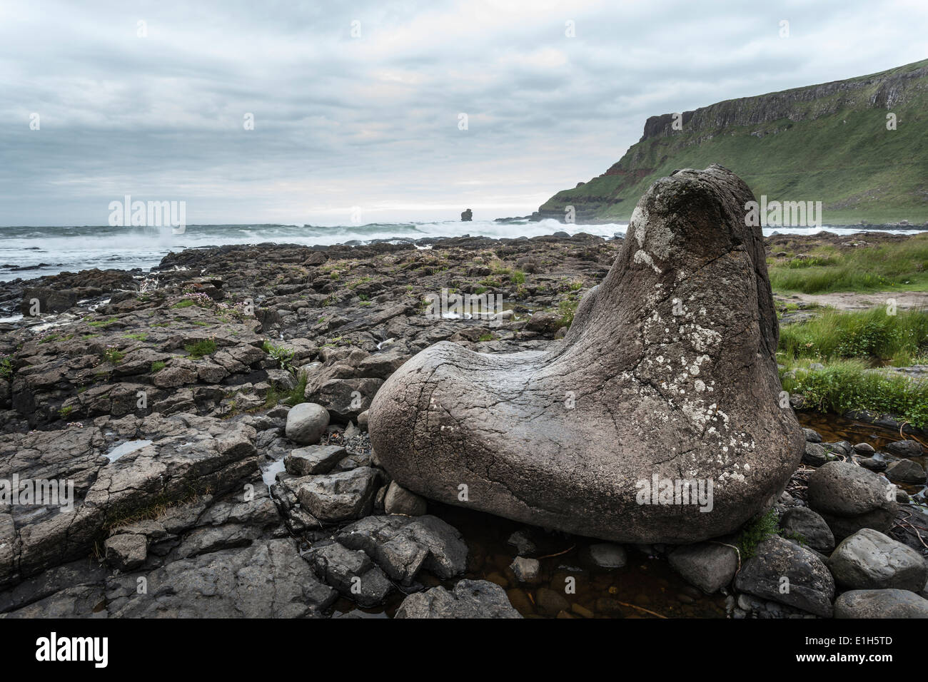 Giants foot, Giants Causeway, Bushmills, County Antrim, Northern Ireland, UK Stock Photo