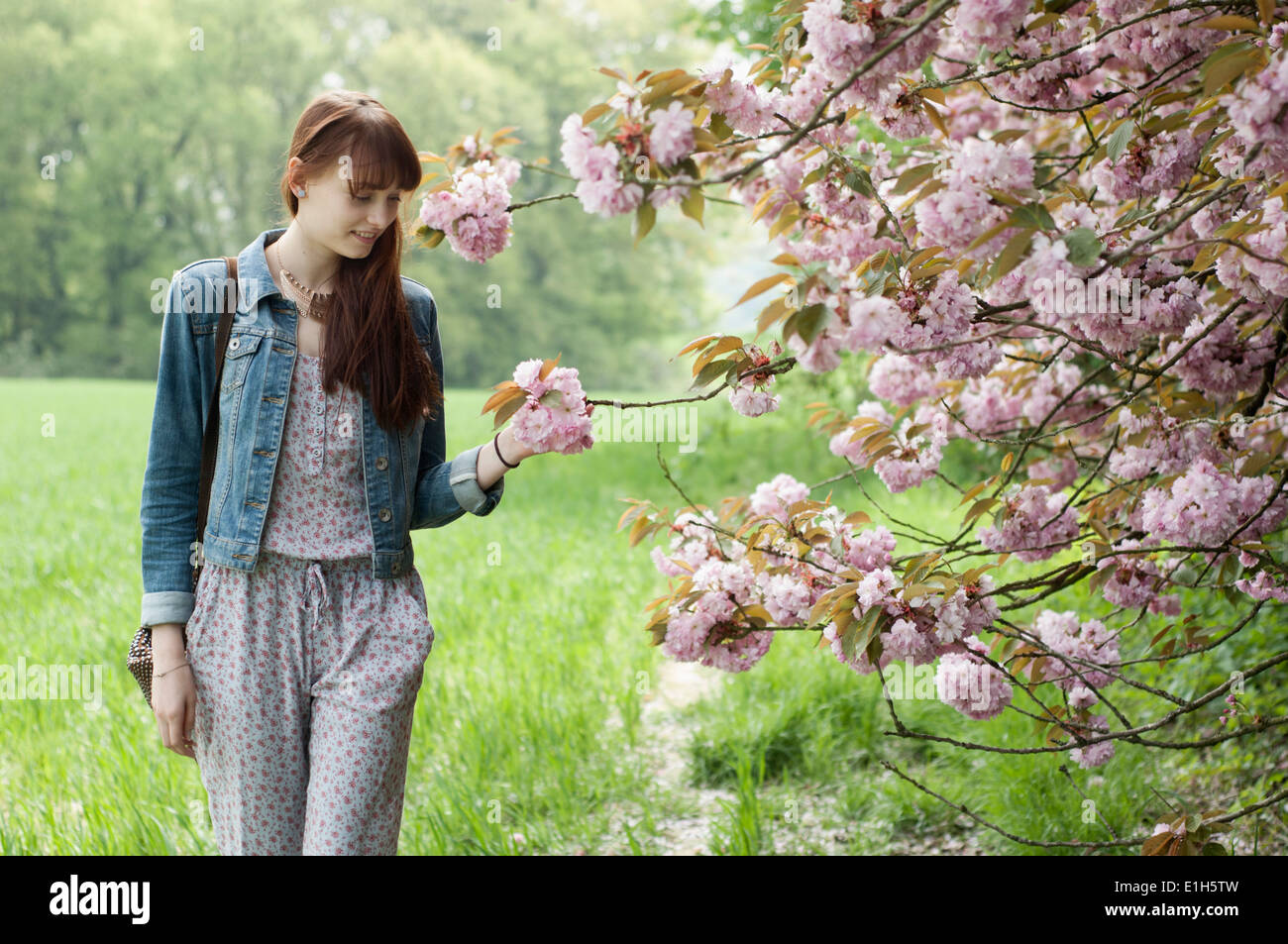 Young woman strolling in field touching blossoms Stock Photo