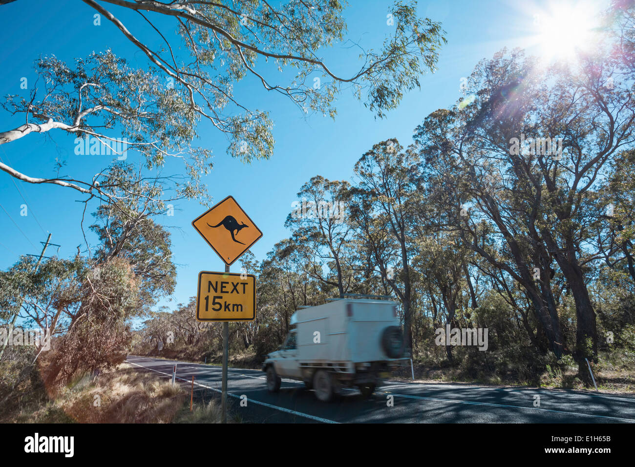 Kangaroo warning roadsign, New South Wales, Australia Stock Photo
