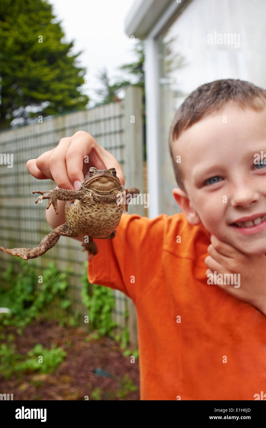 Portrait of young boy in garden holding up toad Stock Photo