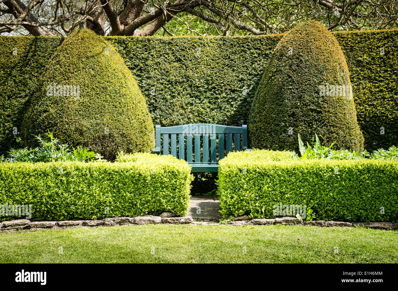 Symmetrical placement of a garden seat between two conical conifers Stock Photo