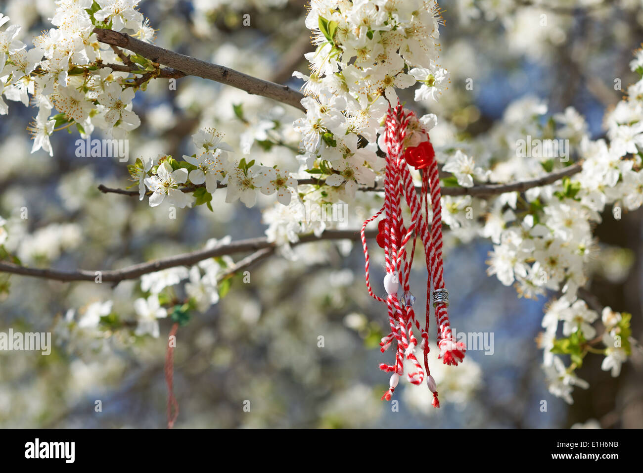 Bulgarian traditional custom spring sign Martenitsa on blossom tree branch against blue sky Stock Photo