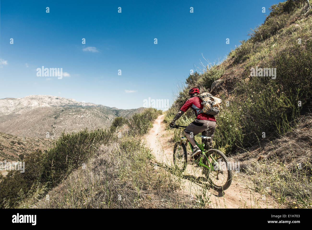 Downhill mountain biker climbing hill Stock Photo