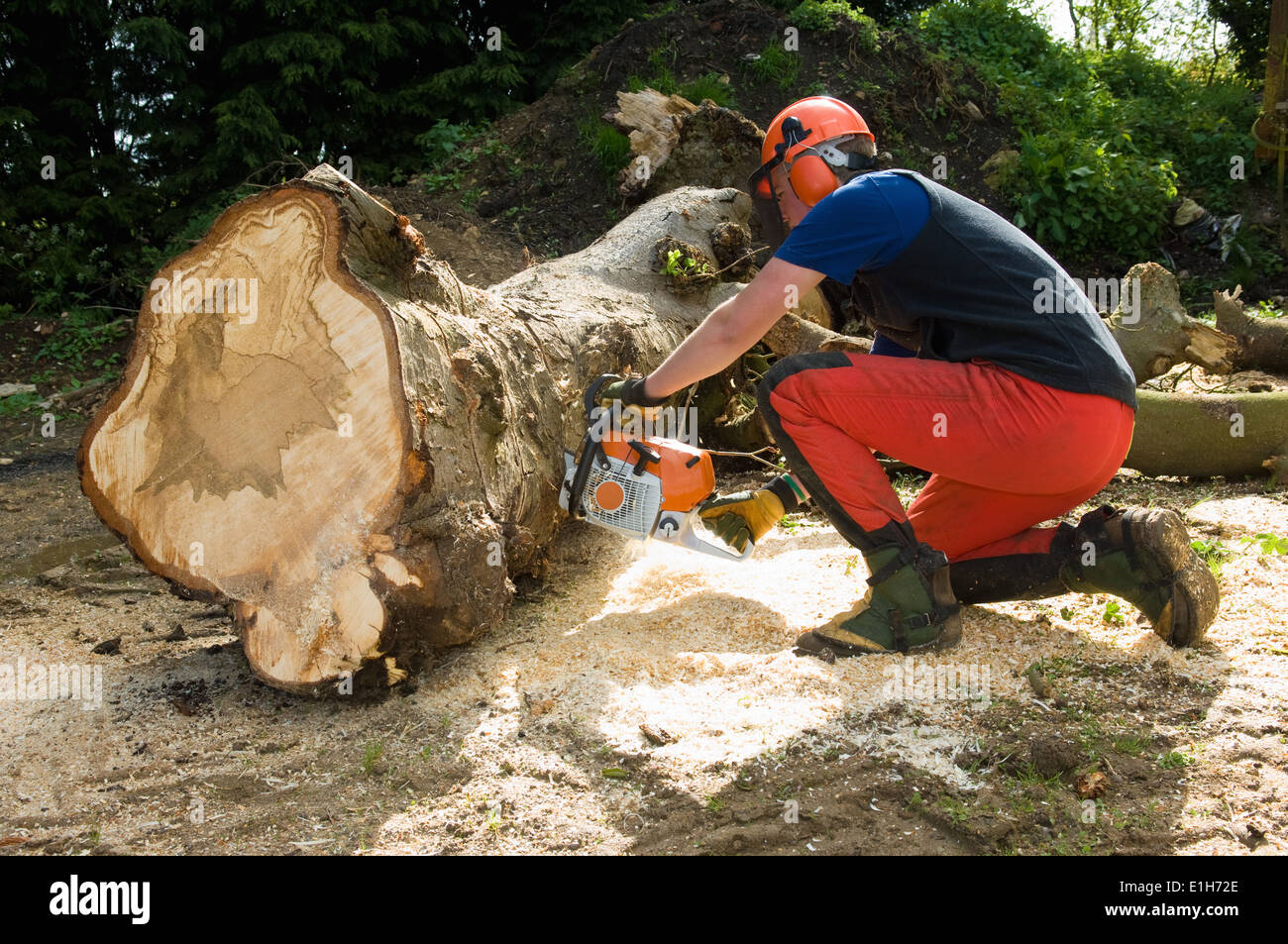 Chainsaw Safety High Resolution Stock Photography and Images - Alamy