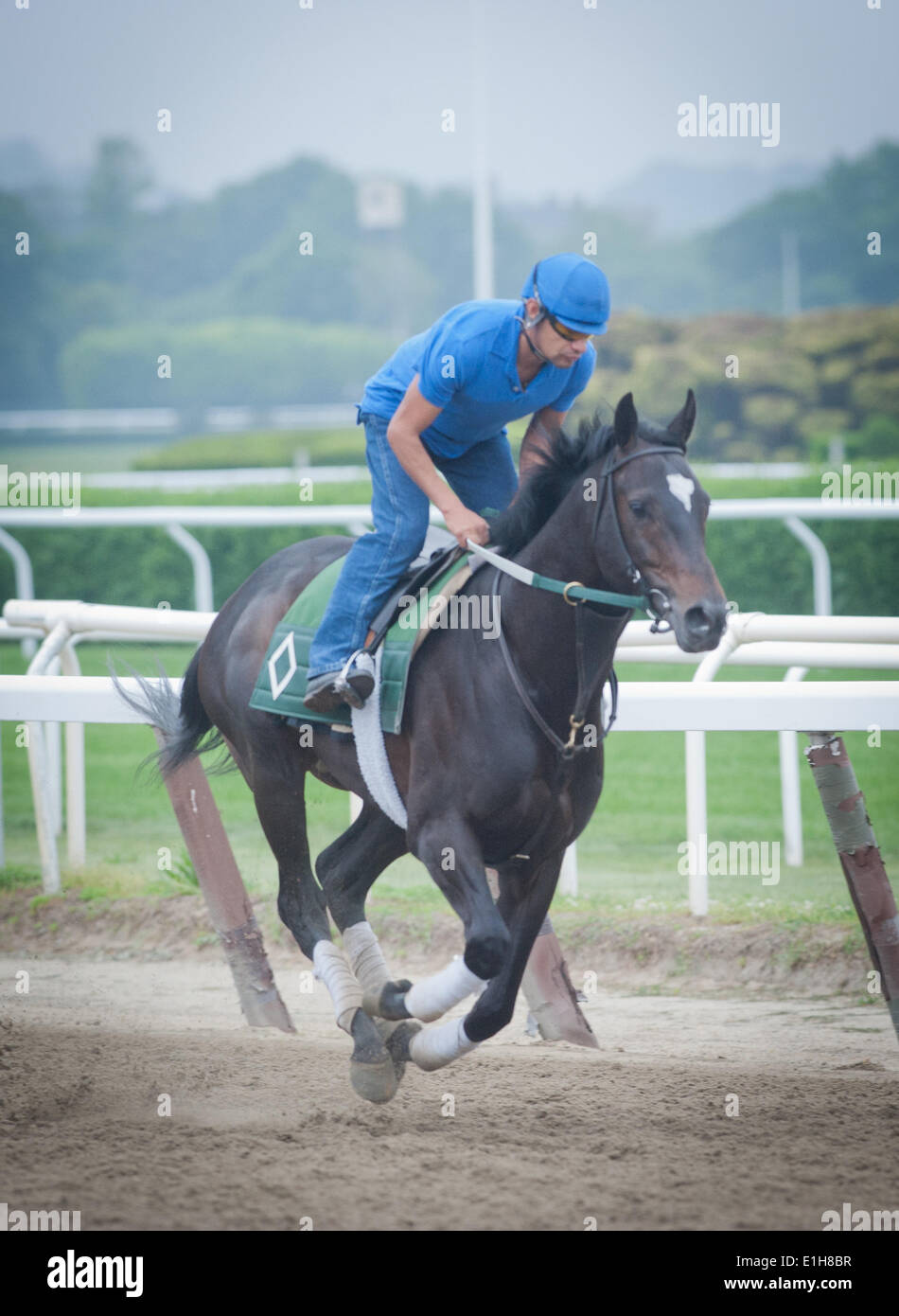 Billy mott hi-res stock photography and images - Alamy