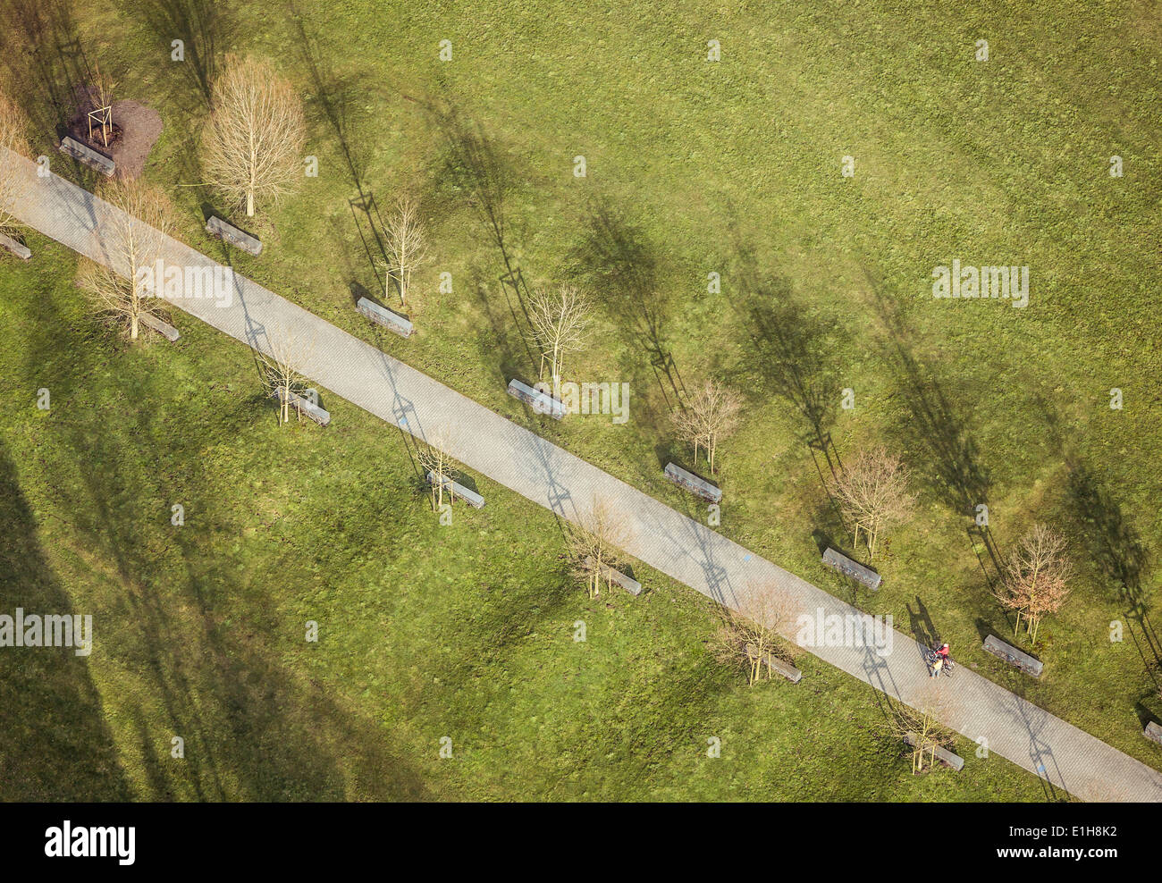 Aerial view of tree lined path Stock Photo