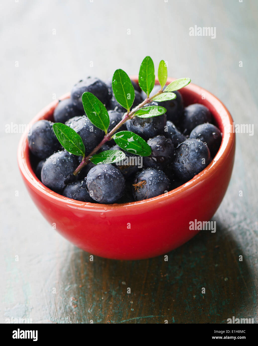 Bowl of blueberries Stock Photo
