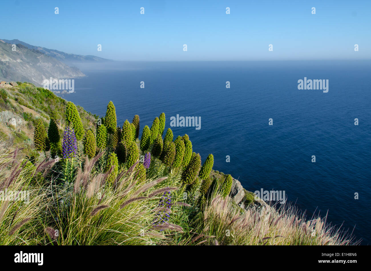 Big Sur California USA Stock Photo