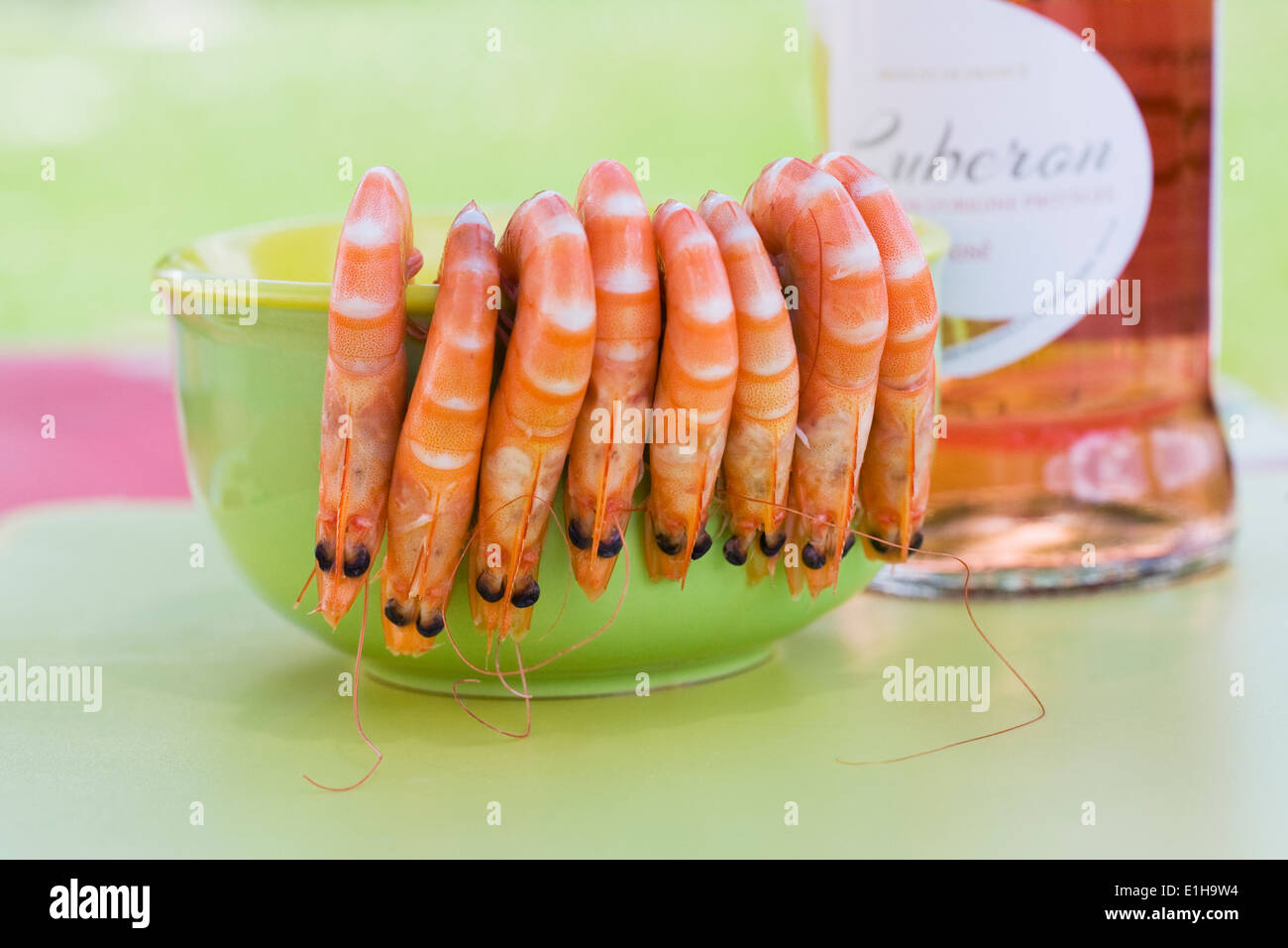 Crevettes in a bowl. Stock Photo