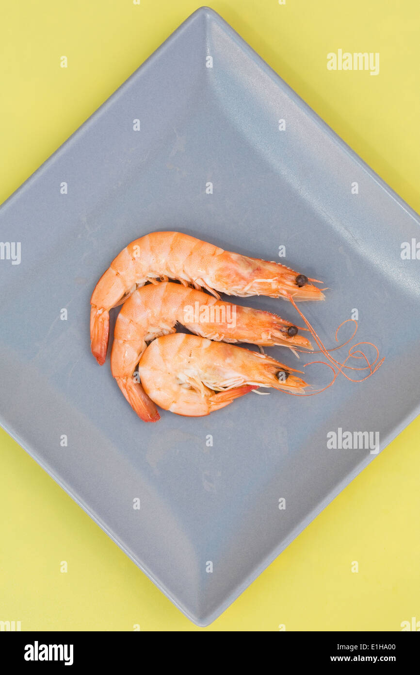 Three crevettes on a grey plate. Stock Photo
