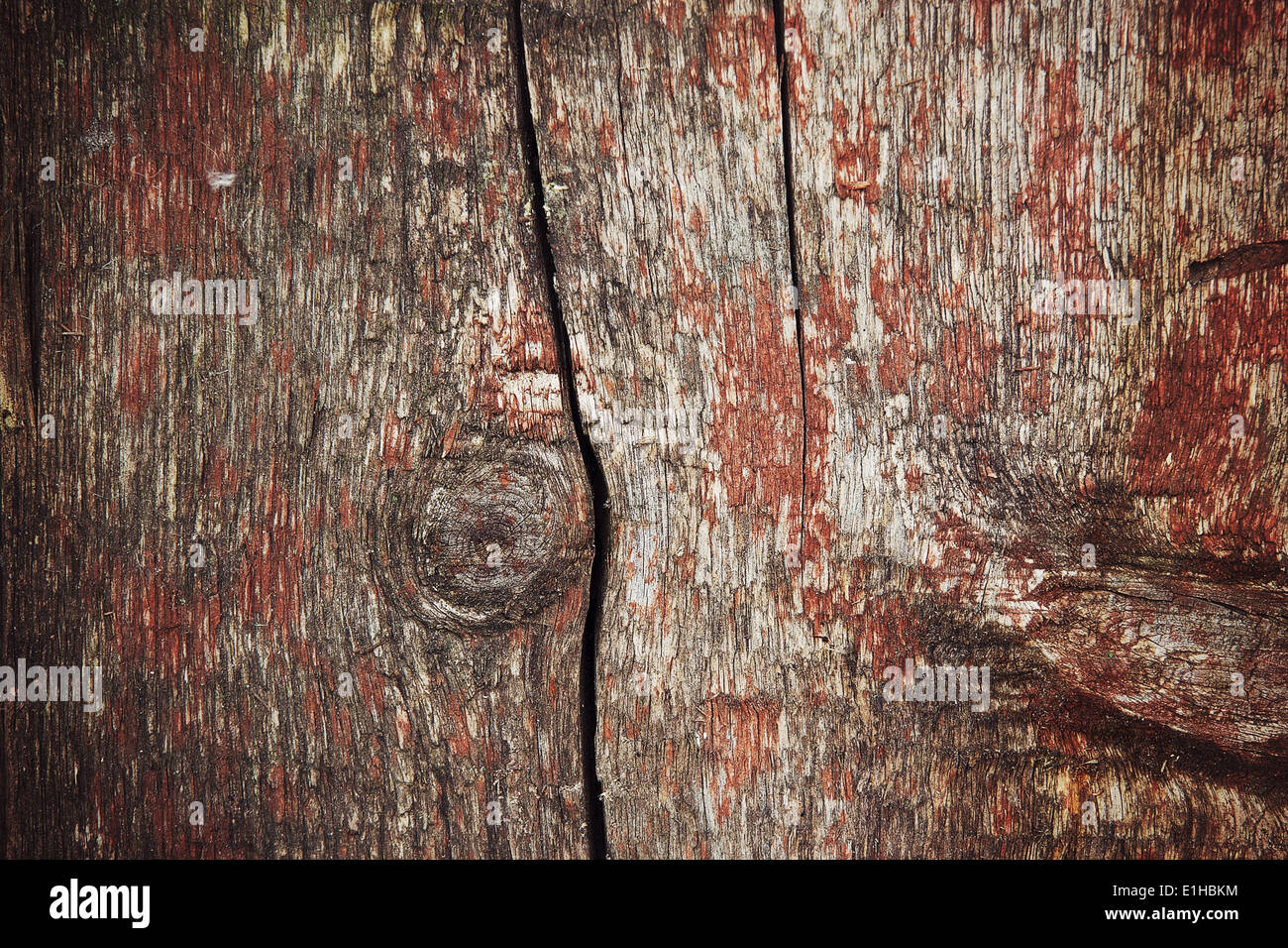 Texture of wood Stock Photo