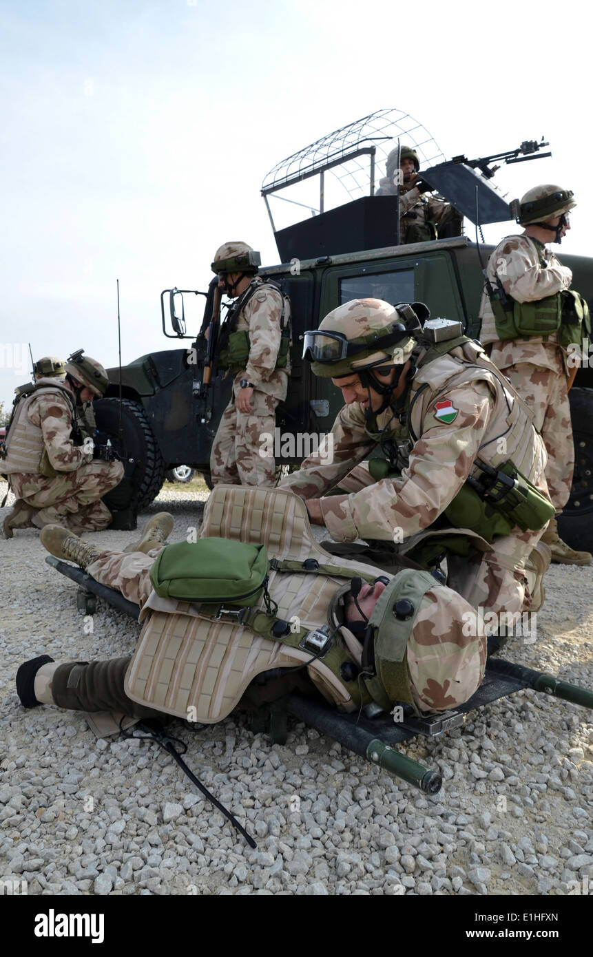 A Hungarian Ground Forces soldier cares for a simulated casualty during a training exercise for military and police advisory te Stock Photo