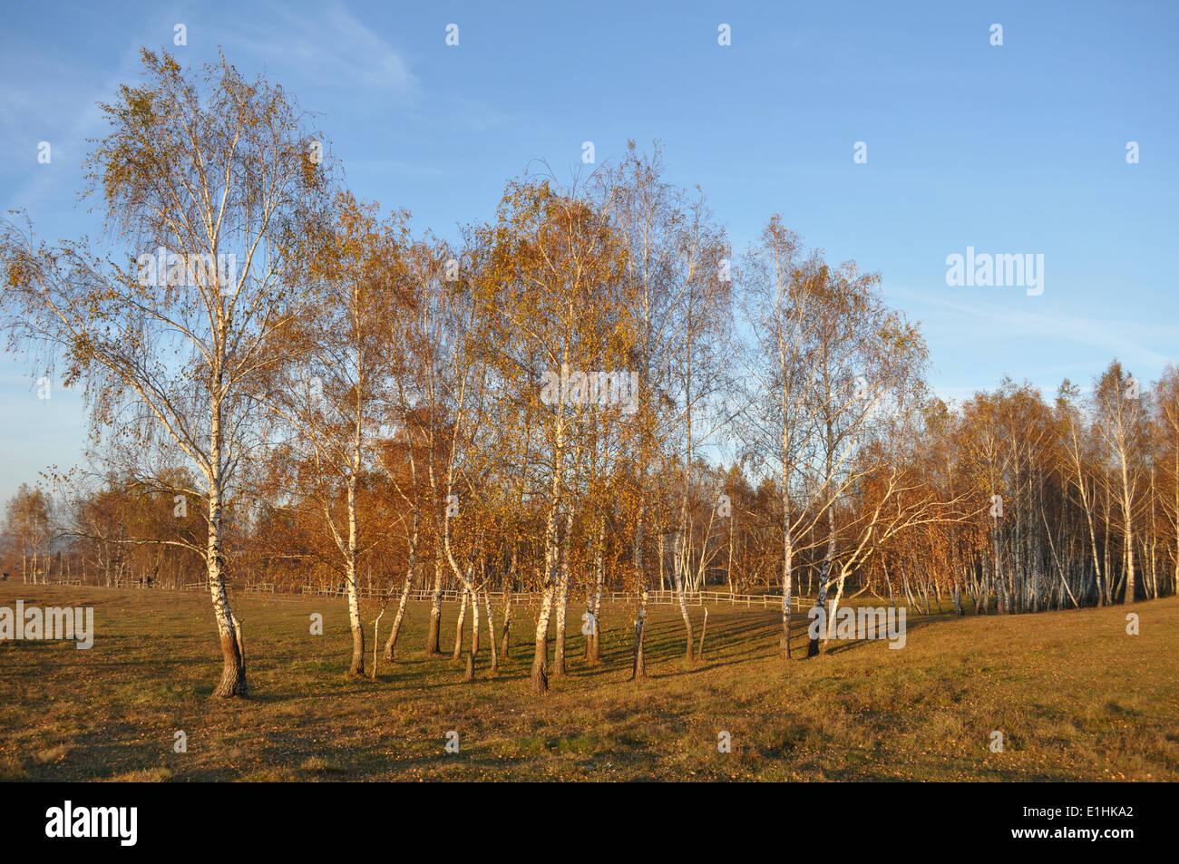 November Outside November landscape hi-res stock photography and images - Alamy