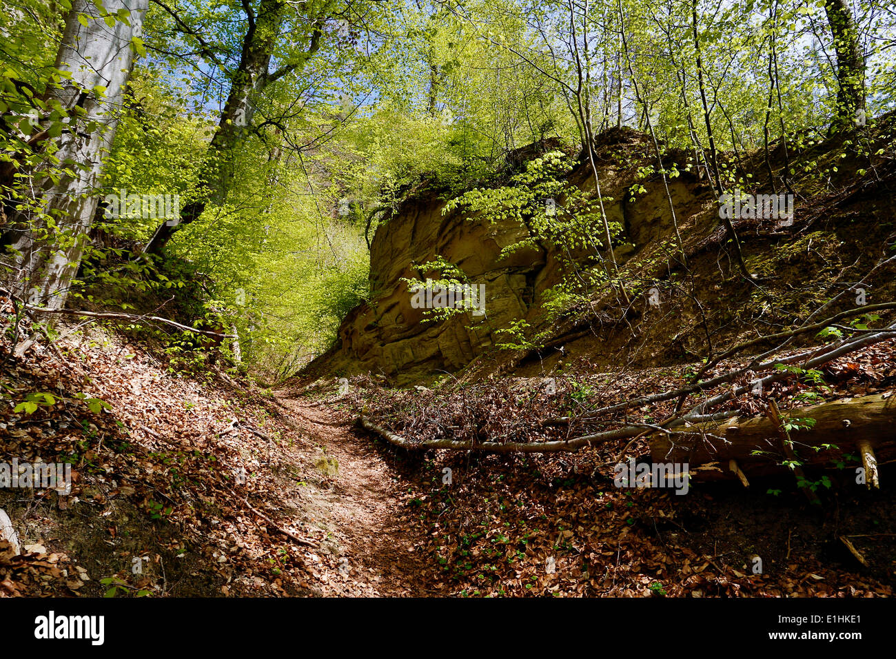 At Leuenhohle, section of the Via Jacobi, old way of St James, near Burgdorf, Canton of Bern, Switzerland Stock Photo