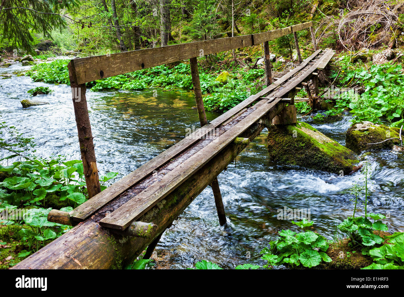Landscape with a wooden bridge over a river and lush forest Stock Photo ...