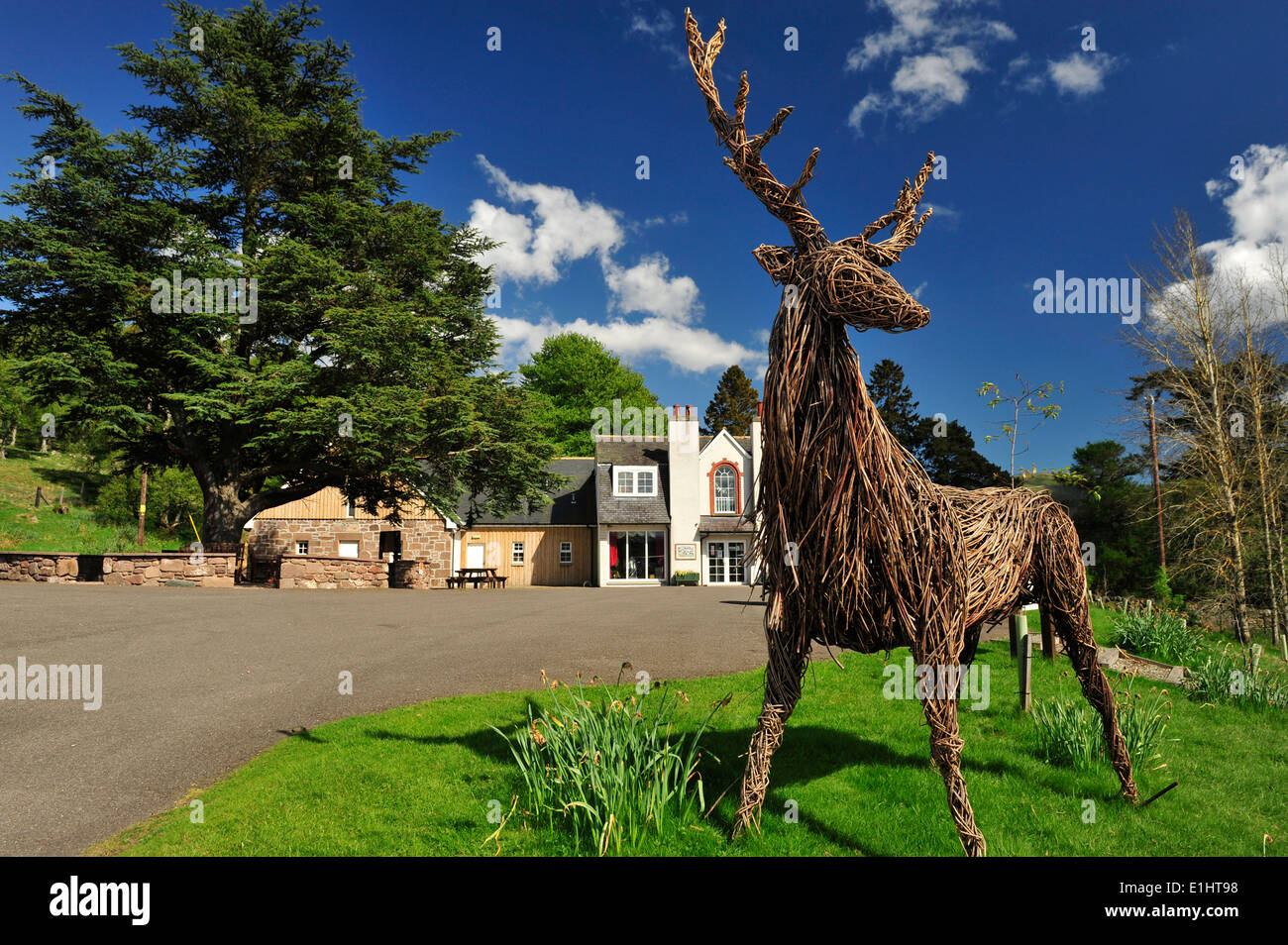 Willow stag sculpture at The Retreat Folk Museum, Glen Esk, Angus, Scotland. Stock Photo