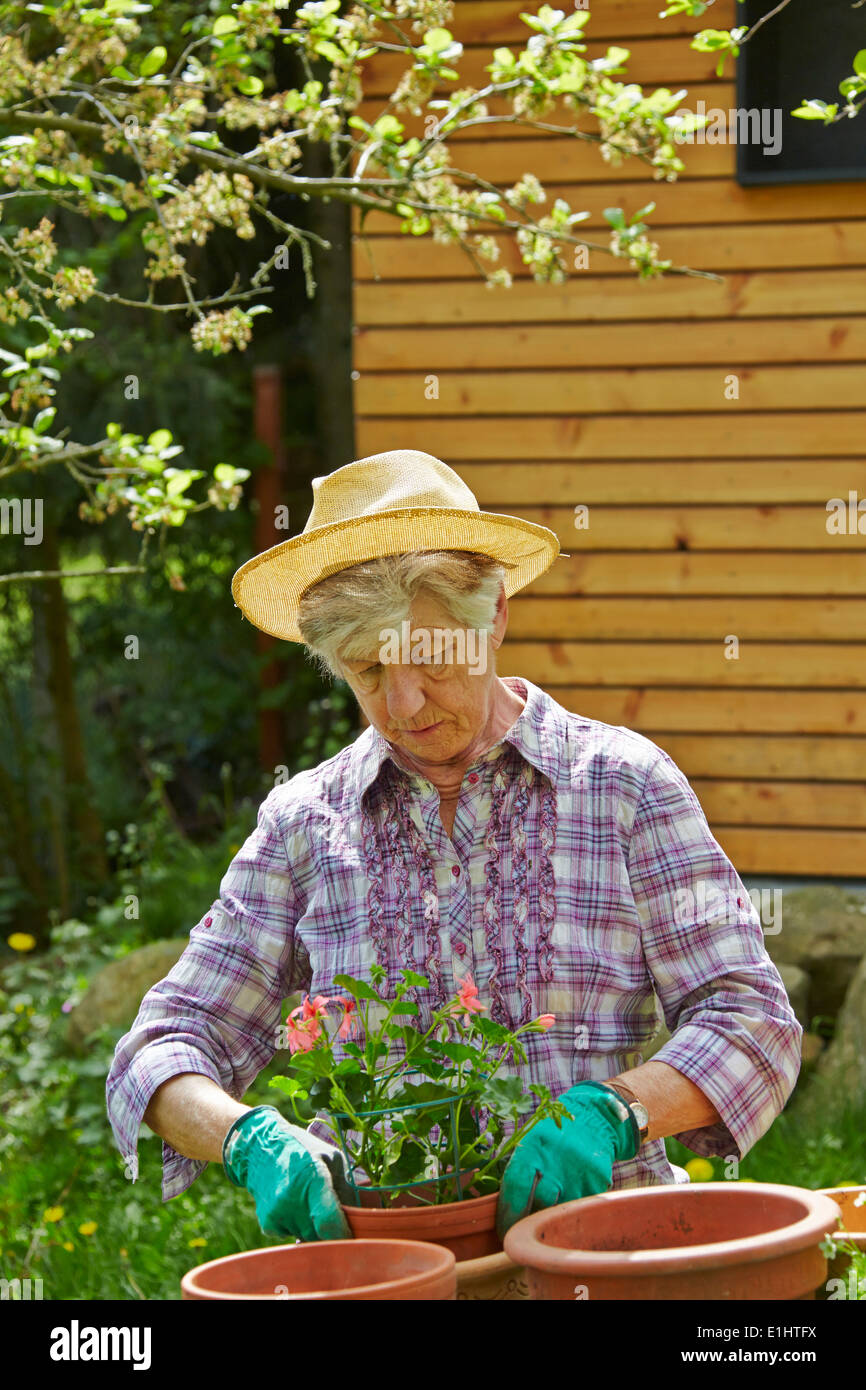 Senior woman gardening Stock Photo - Alamy