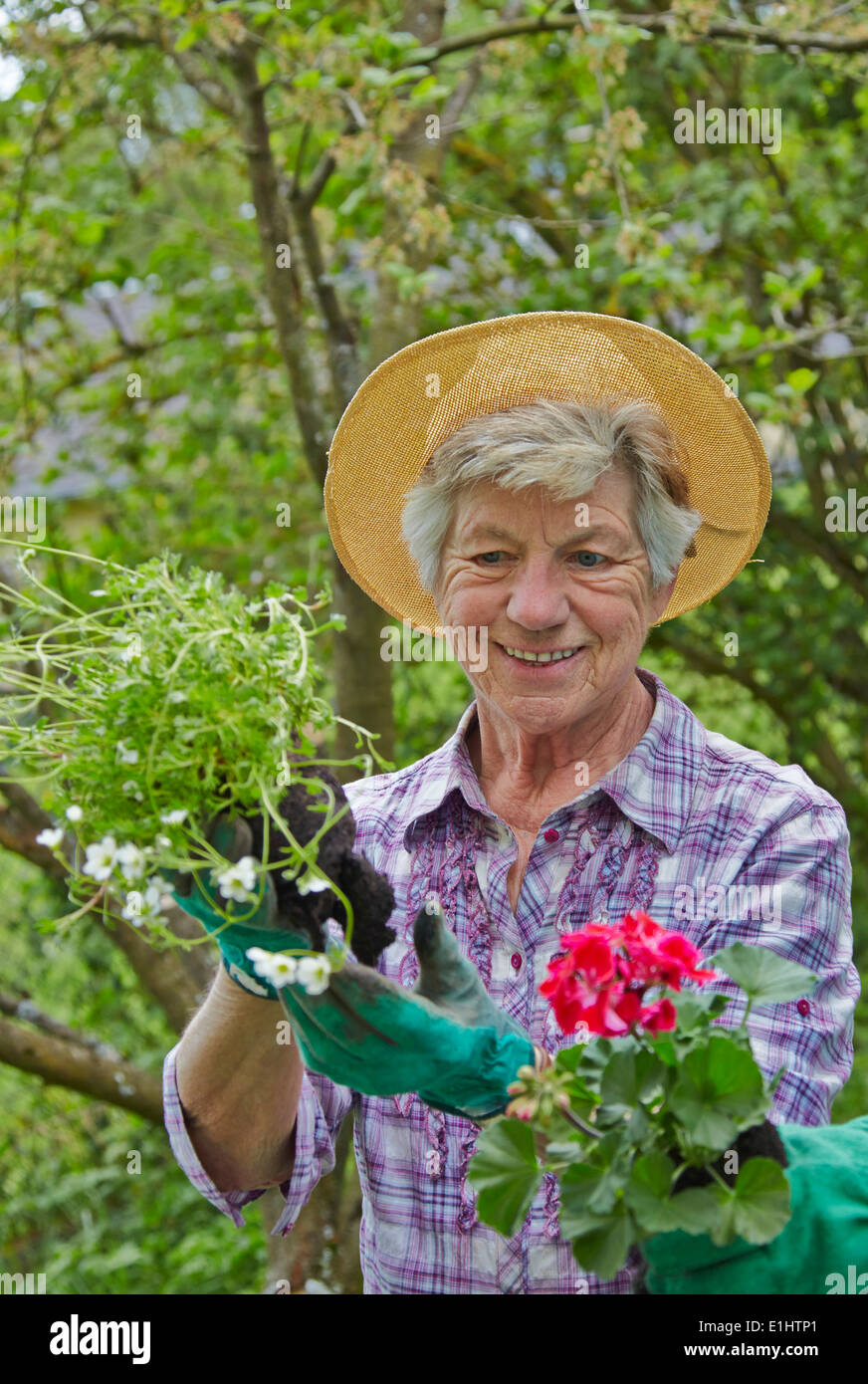 Senior woman gardening Stock Photo - Alamy