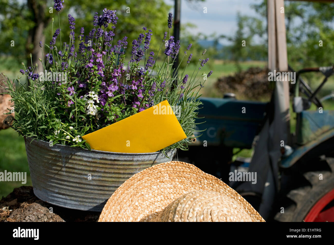 Vat in germany germany hires stock photography and images Alamy