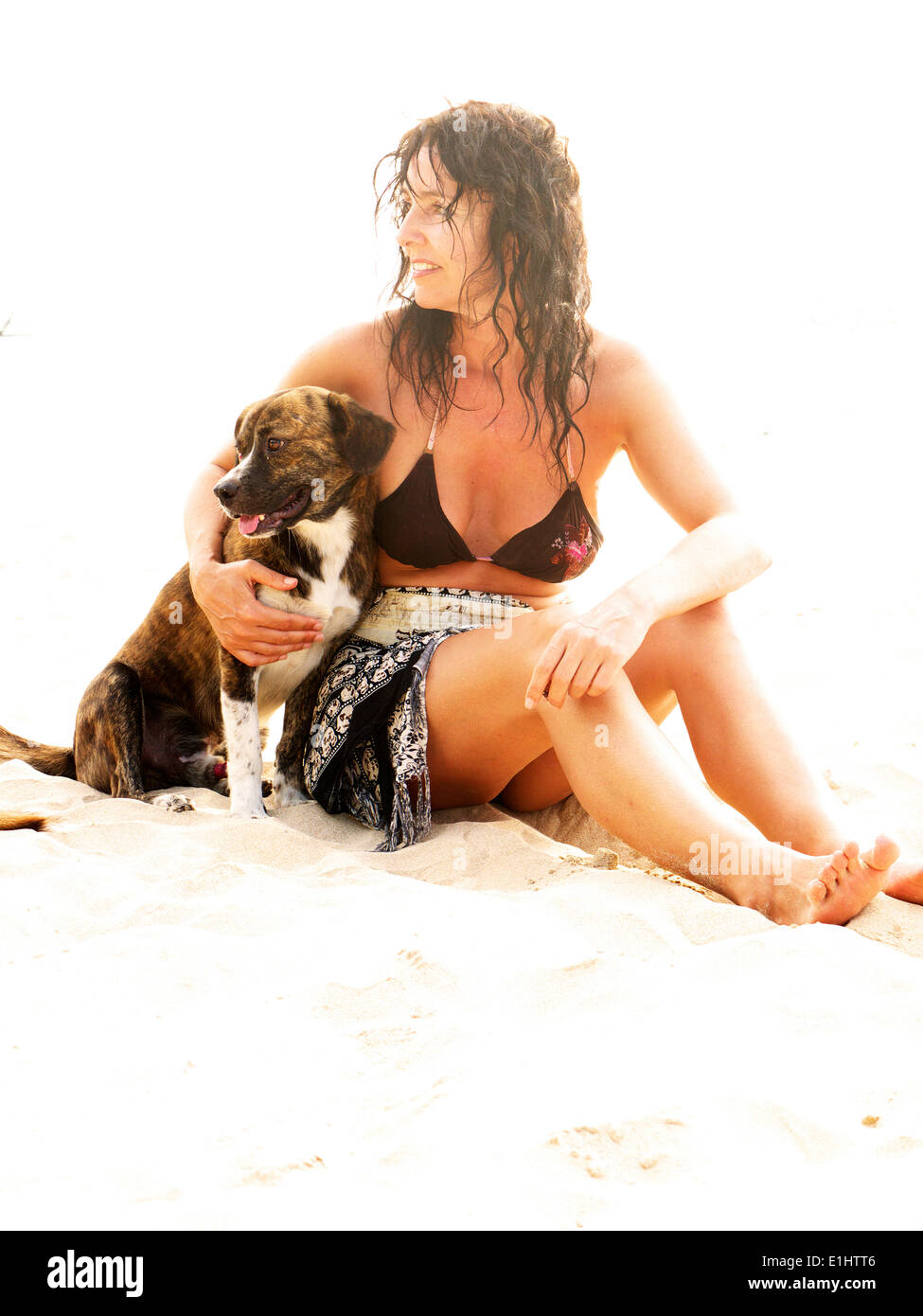 Woman wearing bikini top sitting with dog on sandy beach Stock Photo