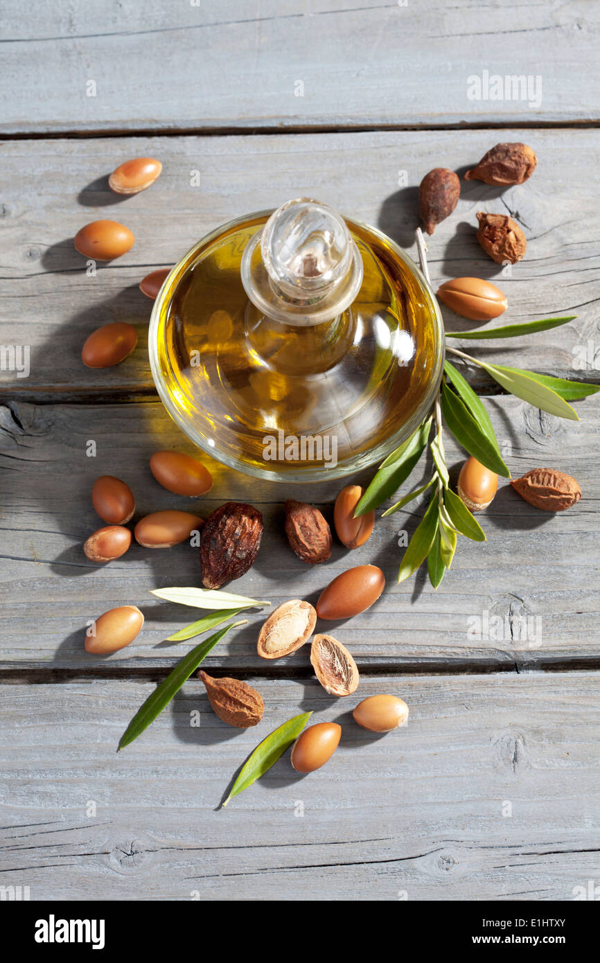 Argan nuts from Argan tree, Argania spinosa, leaves and Argan oil