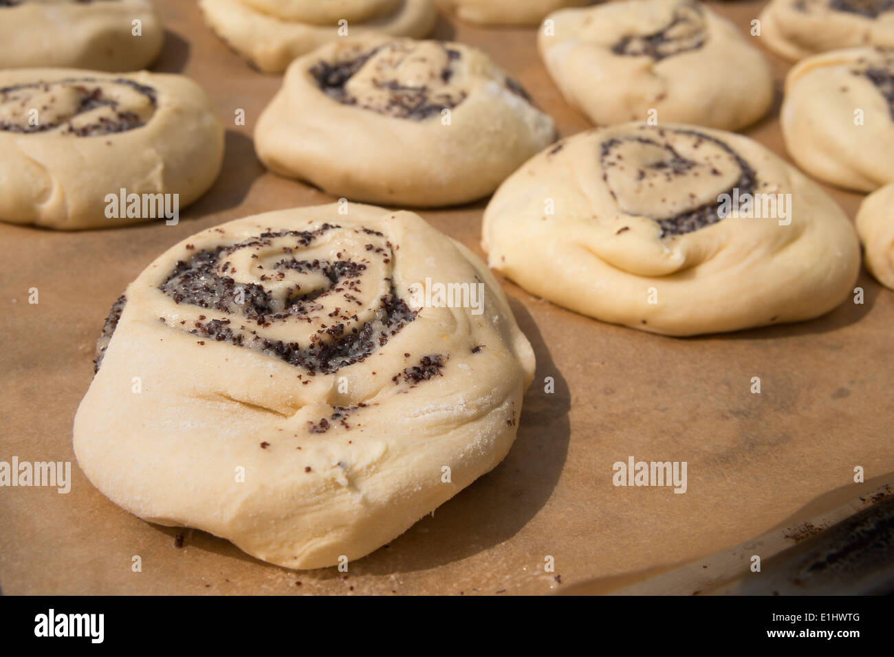 Raw poppy yeast dough rolls on baking paper Stock Photo