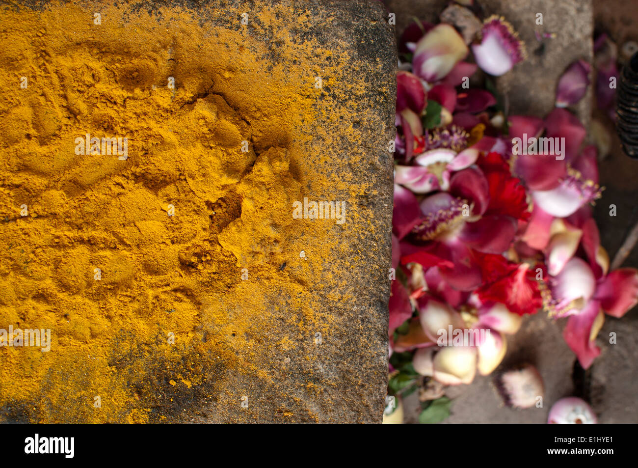 Tumeric powder and Flowers Stock Photo