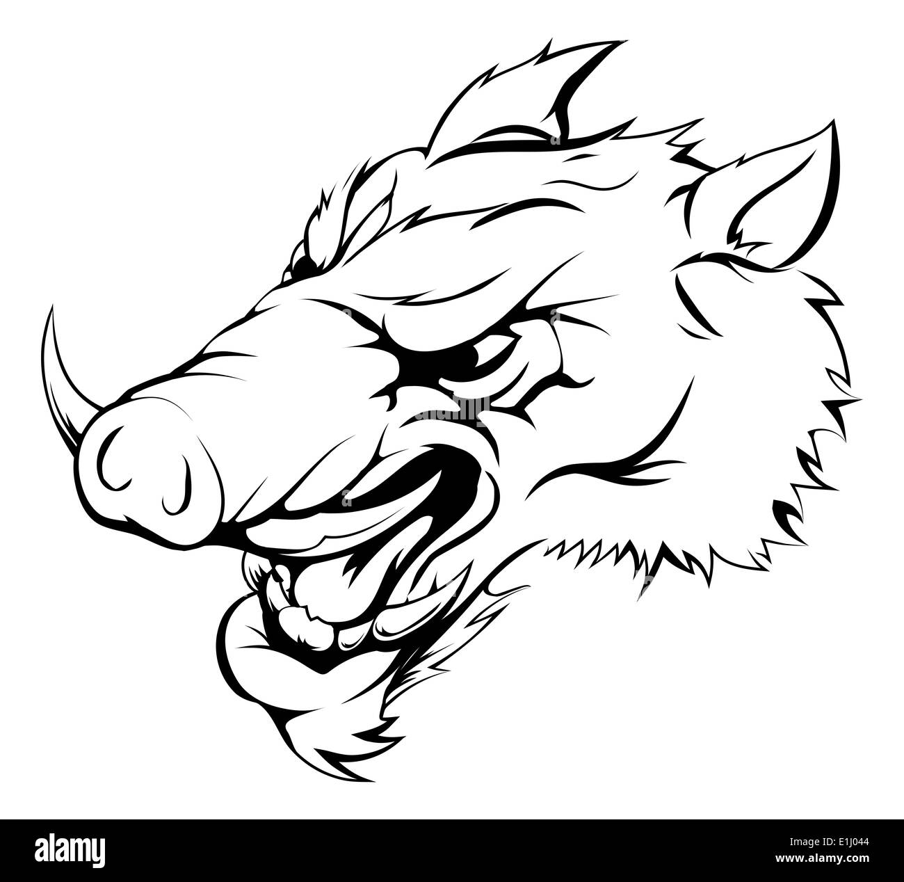 An illustration of a strong angry boar mascot roaring Stock Photo