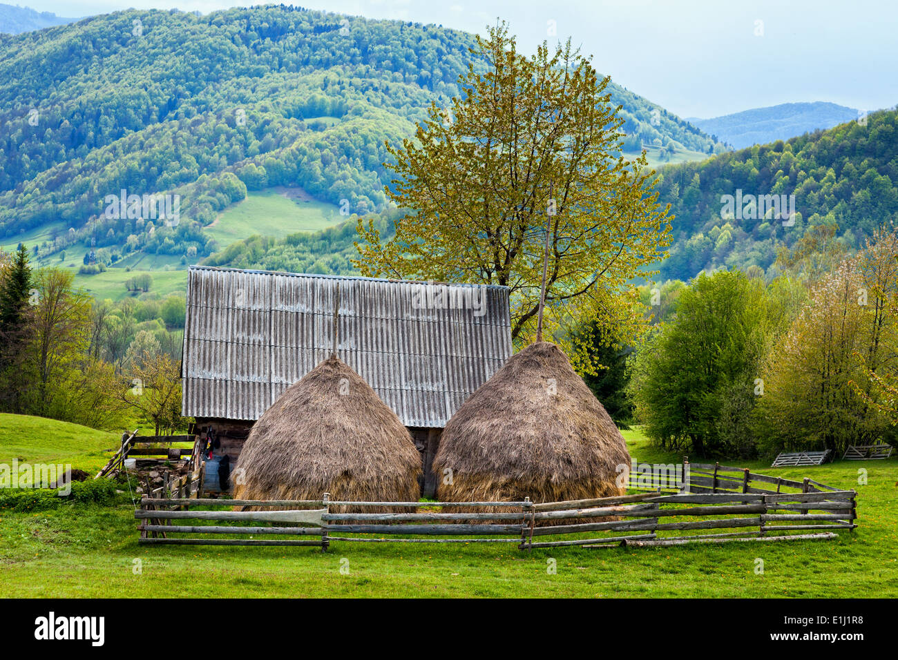 Landscape with an old shed and haystacks in the mountains Stock Photo ...