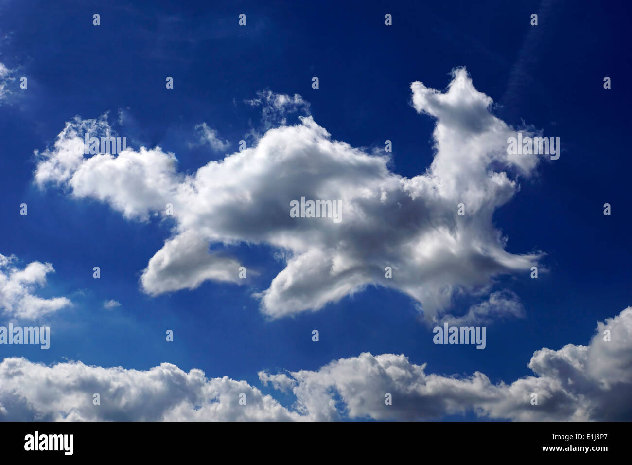 Germany, North Rhine-Westphalia, Cloud formation in form of a dog Stock Photo