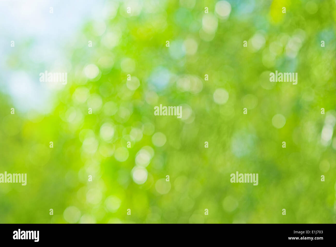 Bokeh natural hi-res stock photography and images - Alamy
