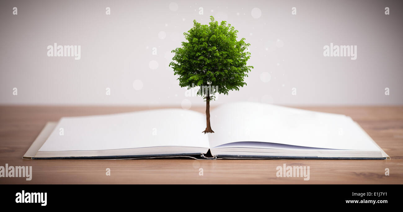Tree growing from an open book Stock Photo Alamy
