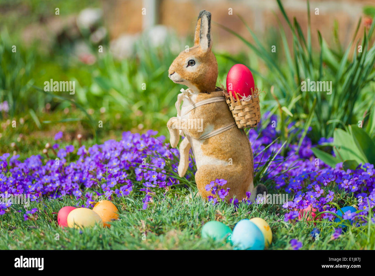 Easter bunny in garden with flowers Stock Photo - Alamy