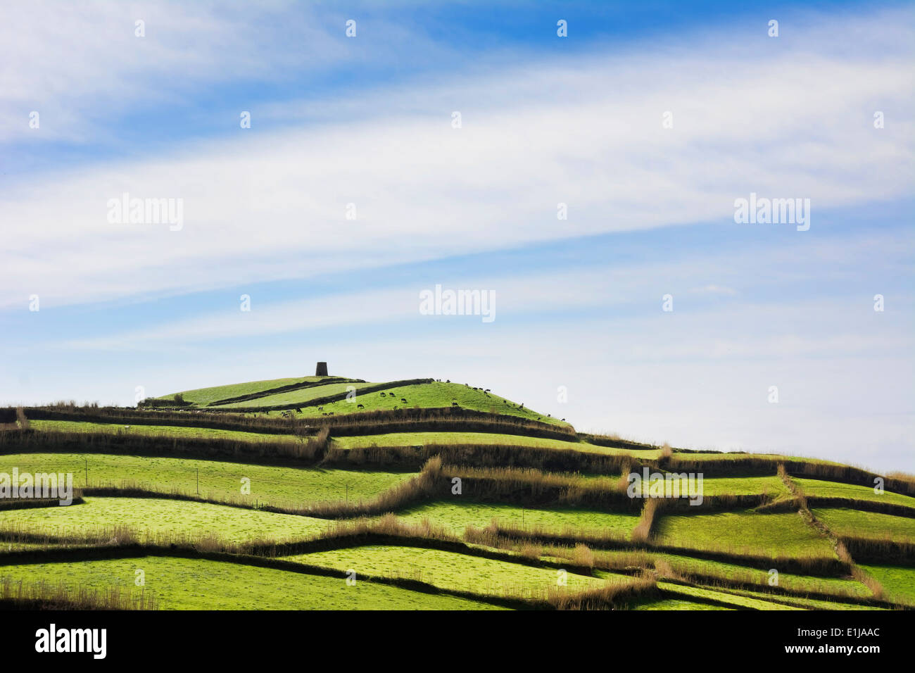 Rural landscape on azores hi-res stock photography and images - Alamy