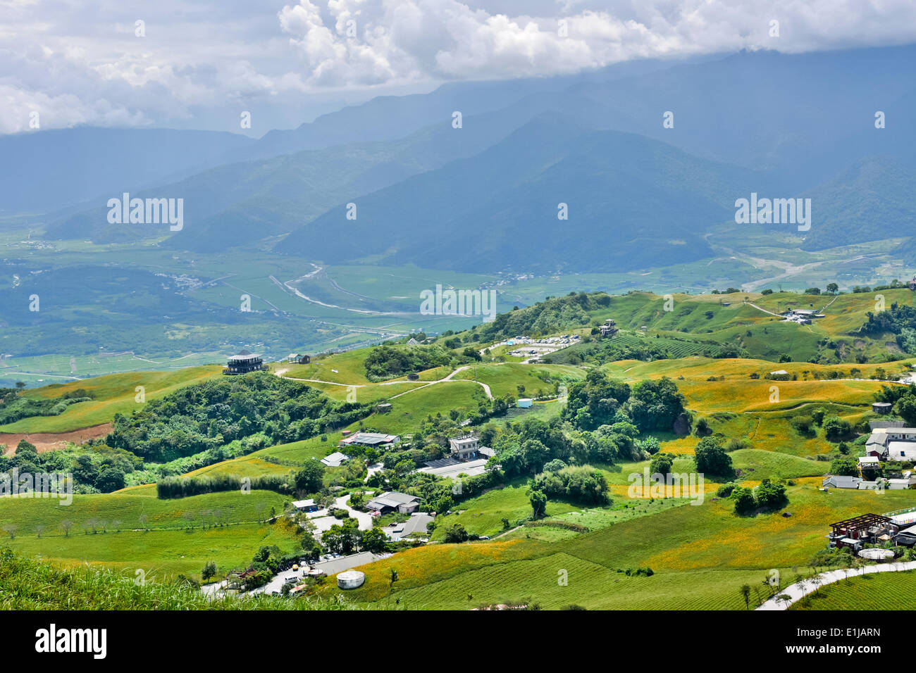 Hualien taiwan lily hi-res stock photography and images - Alamy