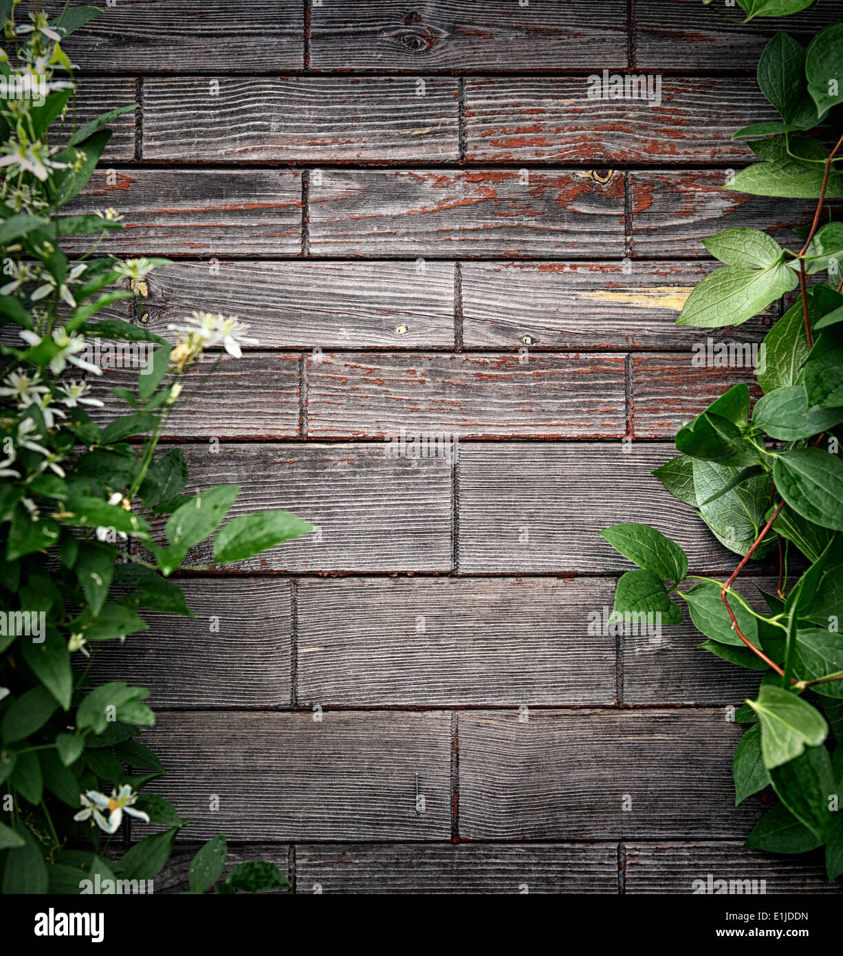 Wooden Background with Leaves Stock Photo - Alamy