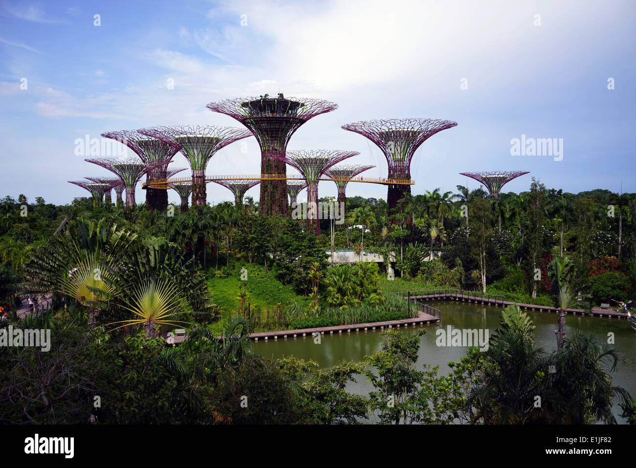 Supertree Grove, Gardens by the Bay, Singapore Stock Photo