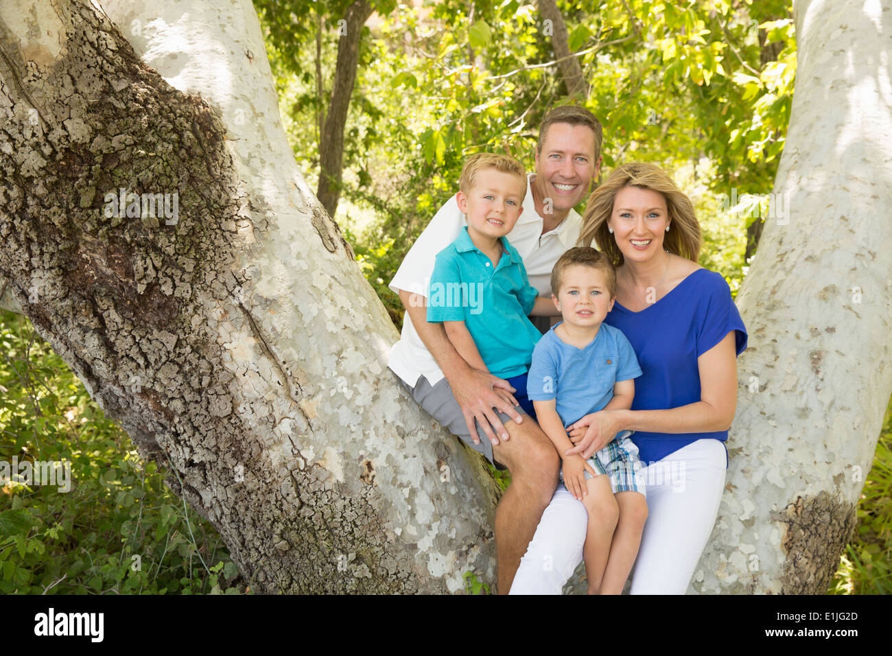 Family of four on branch of tree Stock Photo