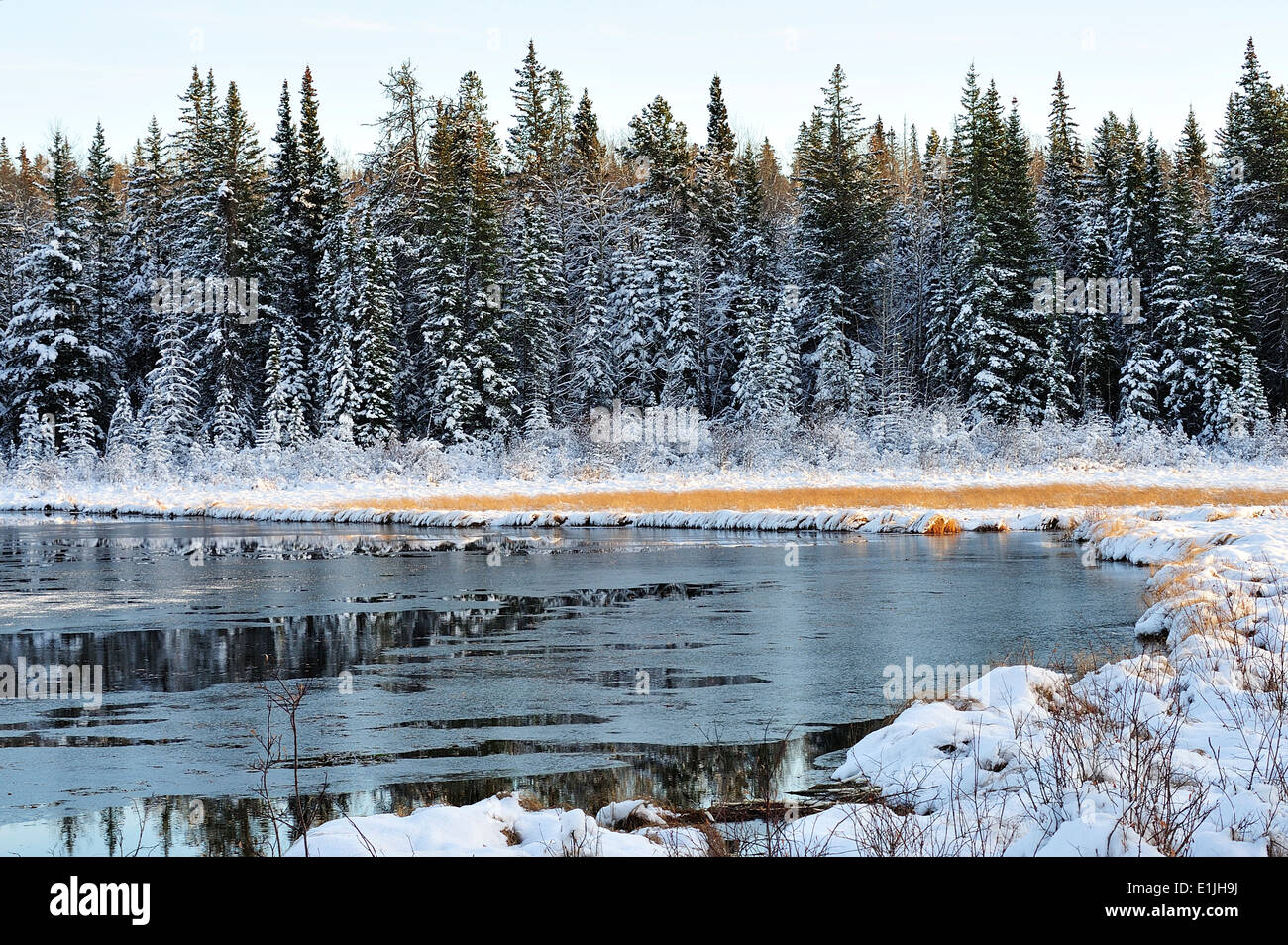 Maxwell corner hires stock photography and images Alamy