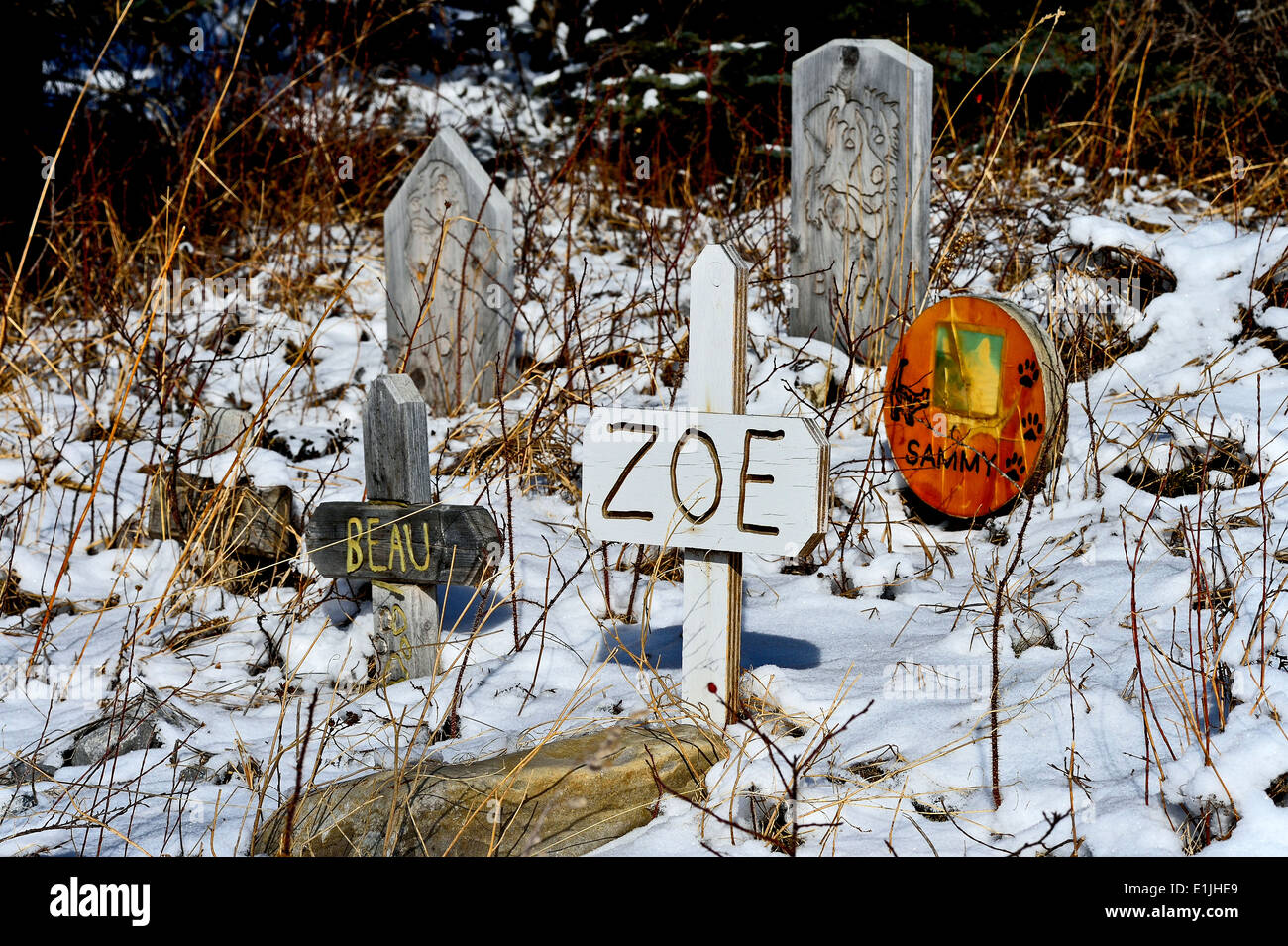 Grave markers in a rural cemetery for pets in western Alberta Canada Stock Photo