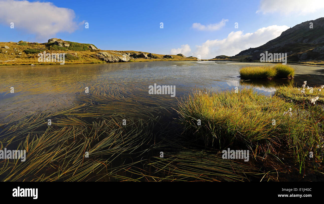 Bombasel lakes, lake vegetation. The Lagorai mountain massif. The Fiemme Valley. Mountain landscape. Stock Photo