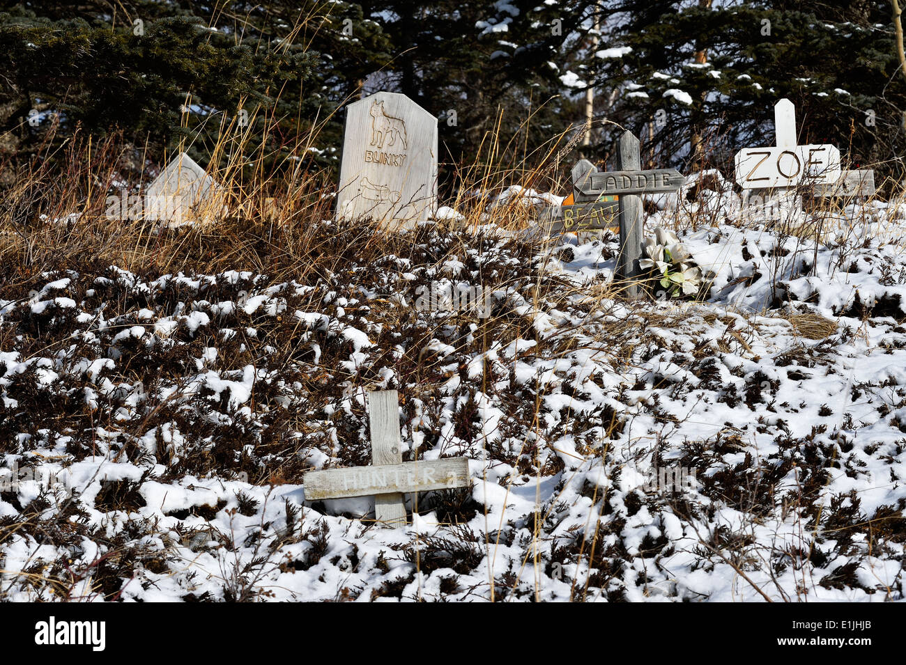 Grave markers in a rural pet cemetery  in western Alberta Canada Stock Photo