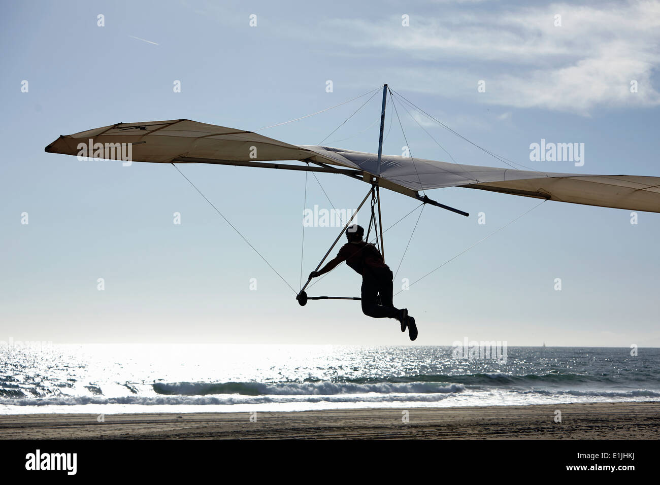 Hang glider pilot landing on beach Stock Photo Alamy